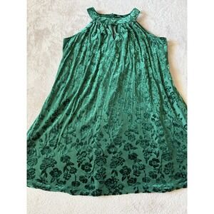 Just Found Women's Size 1X Floral Velvet‎ Tunic Dress Green Brunch Spring Easter